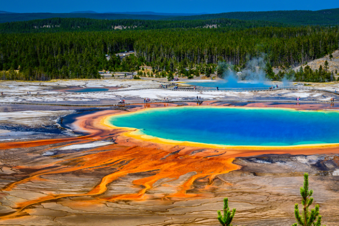 3 Reasons To See Grand Prismatic Spring In Person | Scenic Safaris